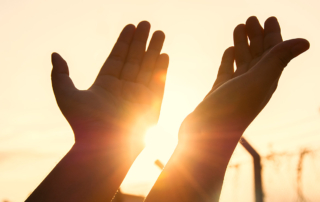 Zwei erhobene Hände, zwischen denen die Sonne scheint, im Hintergrund Elektrozaun mit Stacheldraht