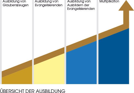 Übersicht der Ausbildung - Ausbildung von Glaubenszeugen, Ausbildung von Evangelisierenden, Ausbildung von Ausbildern der Evangelisierenden, Multiplikation